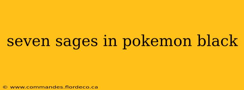 seven sages in pokemon black