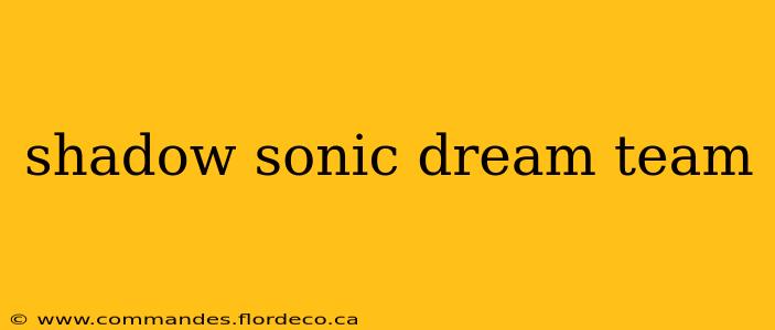 shadow sonic dream team