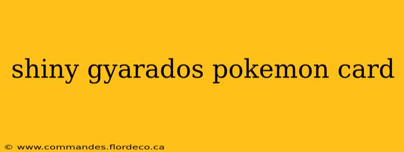 shiny gyarados pokemon card