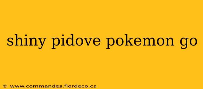shiny pidove pokemon go