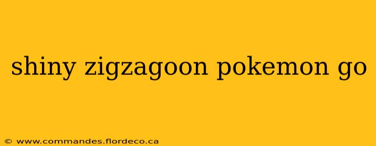 shiny zigzagoon pokemon go