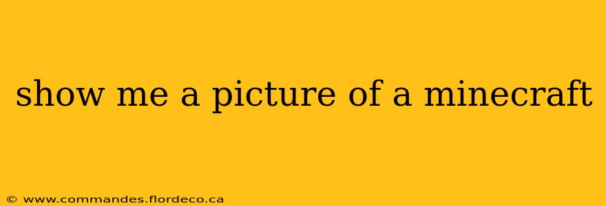 show me a picture of a minecraft