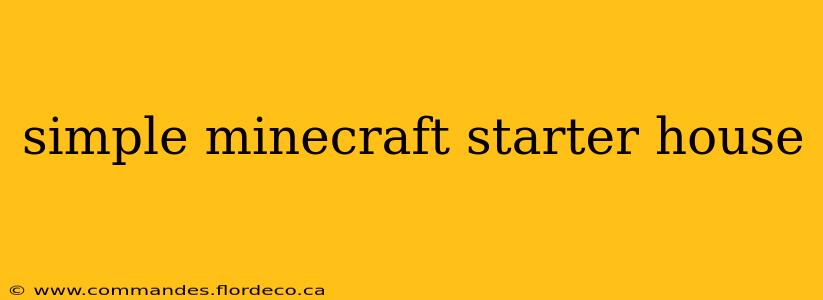 simple minecraft starter house