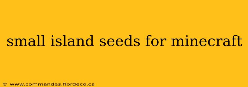 small island seeds for minecraft