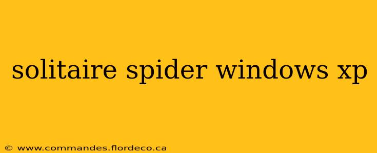 solitaire spider windows xp
