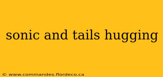 sonic and tails hugging