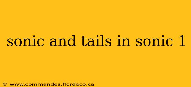 sonic and tails in sonic 1