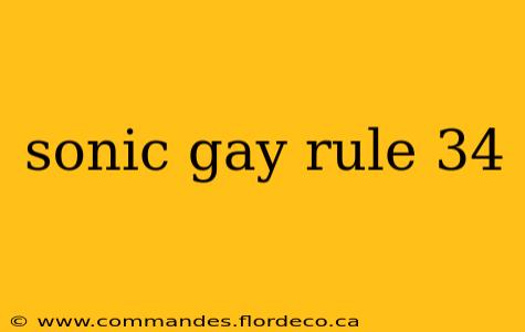 sonic gay rule 34