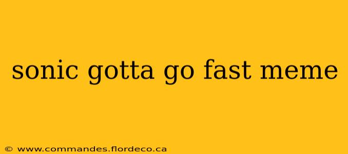 sonic gotta go fast meme