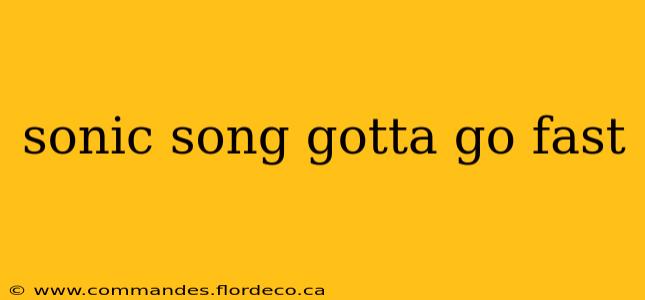 sonic song gotta go fast