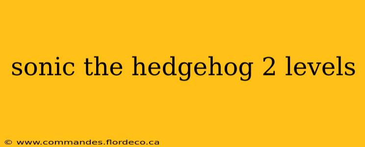 sonic the hedgehog 2 levels