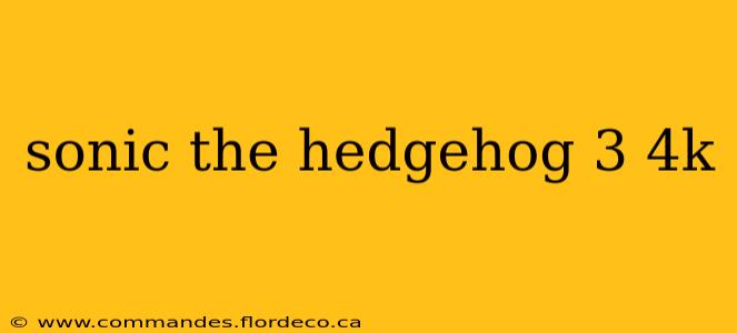 sonic the hedgehog 3 4k