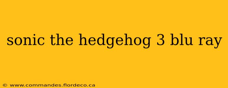 sonic the hedgehog 3 blu ray