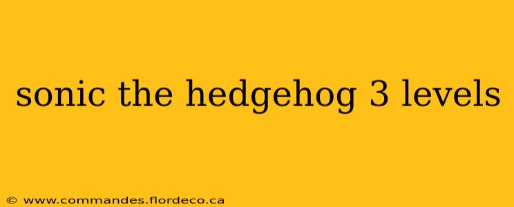 sonic the hedgehog 3 levels