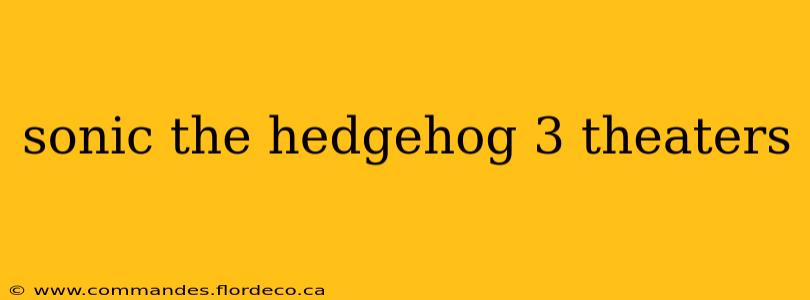 sonic the hedgehog 3 theaters