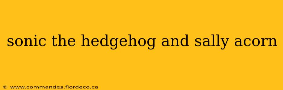 sonic the hedgehog and sally acorn