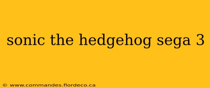 sonic the hedgehog sega 3