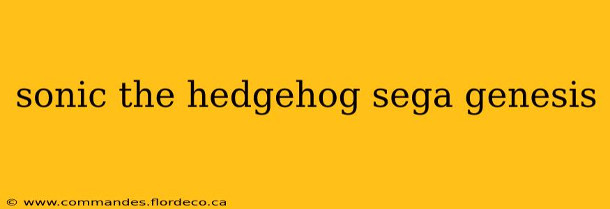 sonic the hedgehog sega genesis