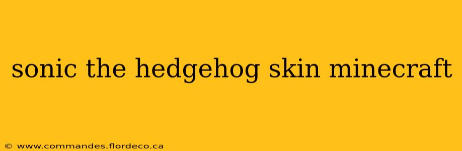 sonic the hedgehog skin minecraft