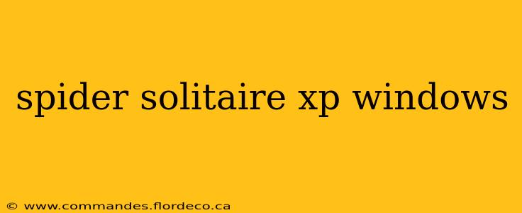 spider solitaire xp windows