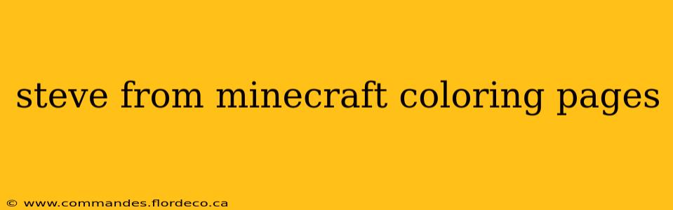 steve from minecraft coloring pages