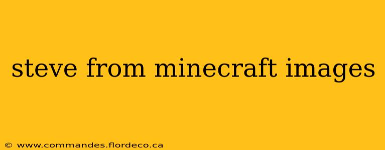 steve from minecraft images