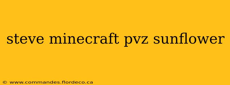 steve minecraft pvz sunflower