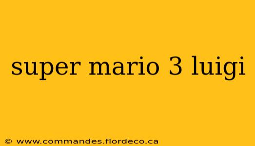 super mario 3 luigi