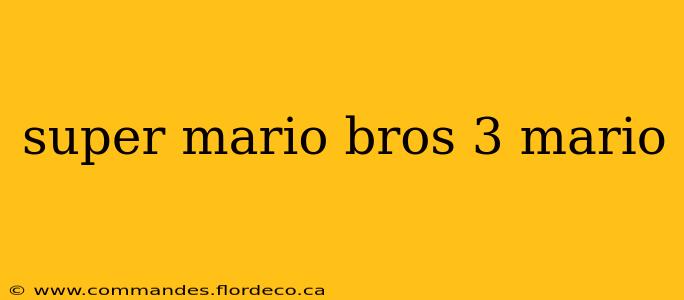 super mario bros 3 mario