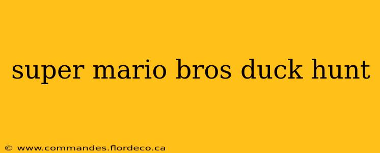super mario bros duck hunt