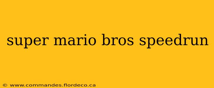 super mario bros speedrun