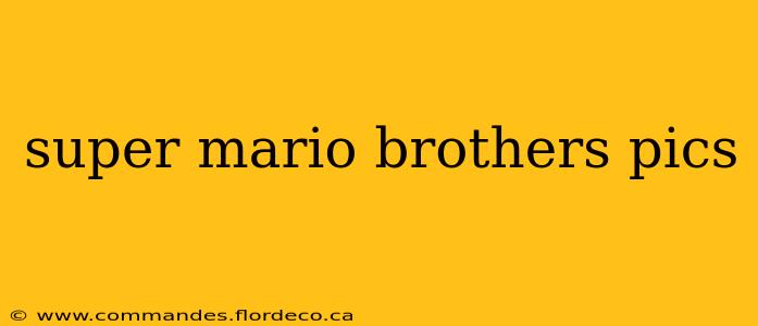 super mario brothers pics