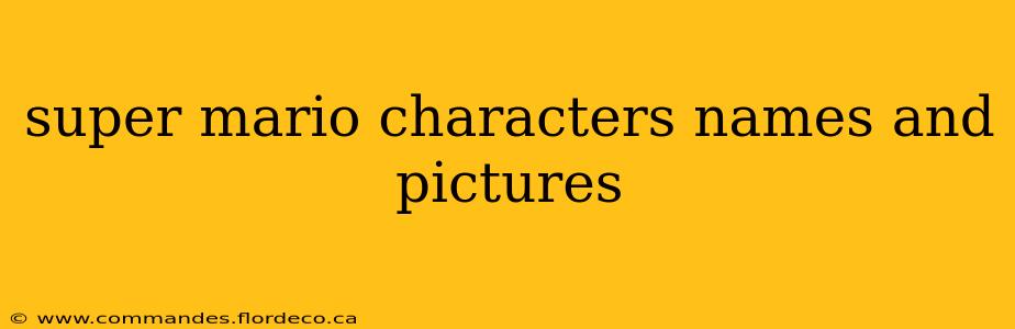 super mario characters names and pictures