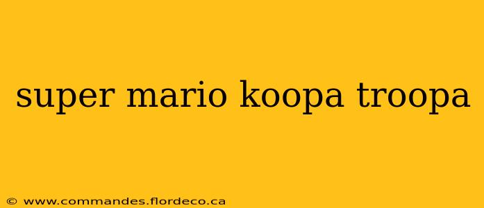 super mario koopa troopa