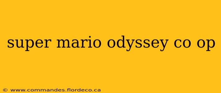 super mario odyssey co op