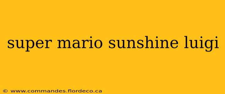 super mario sunshine luigi