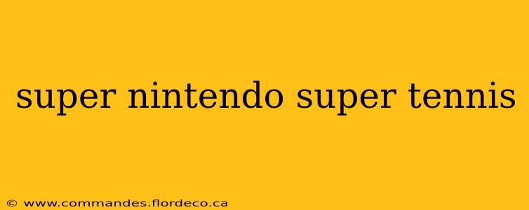 super nintendo super tennis