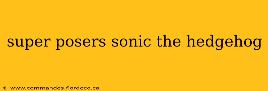 super posers sonic the hedgehog