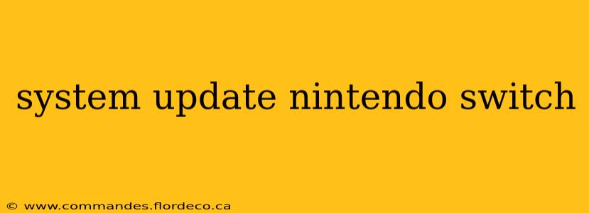 system update nintendo switch