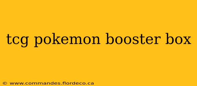 tcg pokemon booster box
