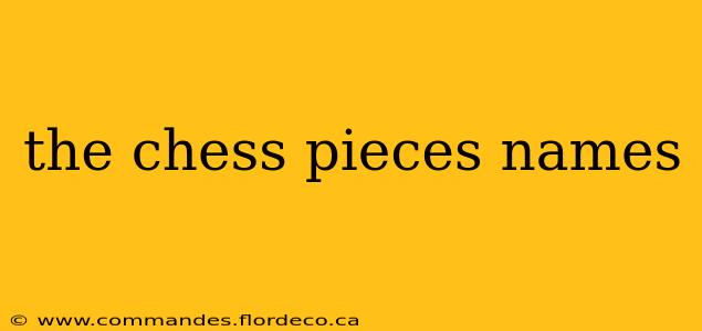 the chess pieces names
