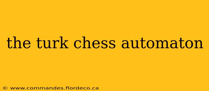the turk chess automaton