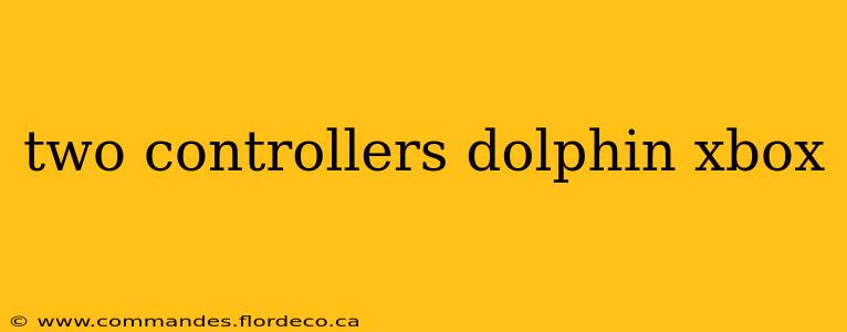 two controllers dolphin xbox