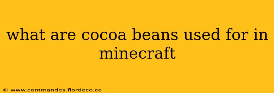what are cocoa beans used for in minecraft