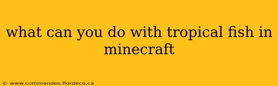 what can you do with tropical fish in minecraft