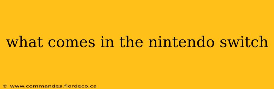 what comes in the nintendo switch