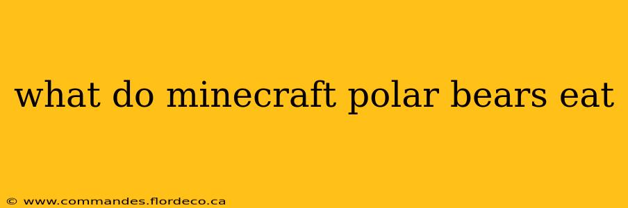 what do minecraft polar bears eat