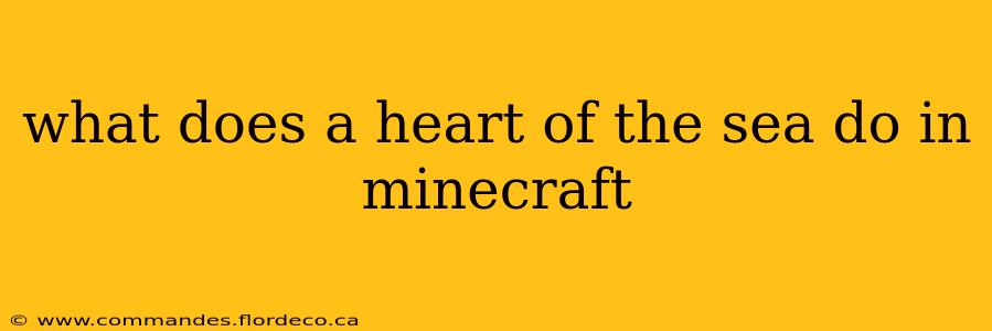 what does a heart of the sea do in minecraft