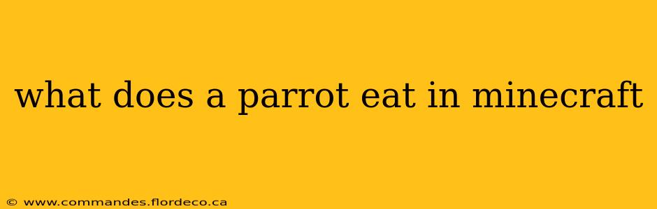 what does a parrot eat in minecraft