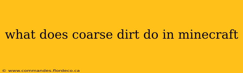 what does coarse dirt do in minecraft